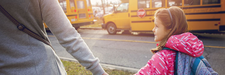 medicaid transportation dispatch medicaid transportation dispatch