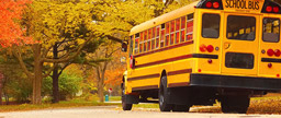 Driving the School Bus Forward