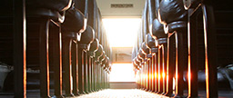 Prep your bus fleet for rolling back to school.