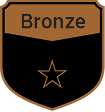 bronze Sponsors